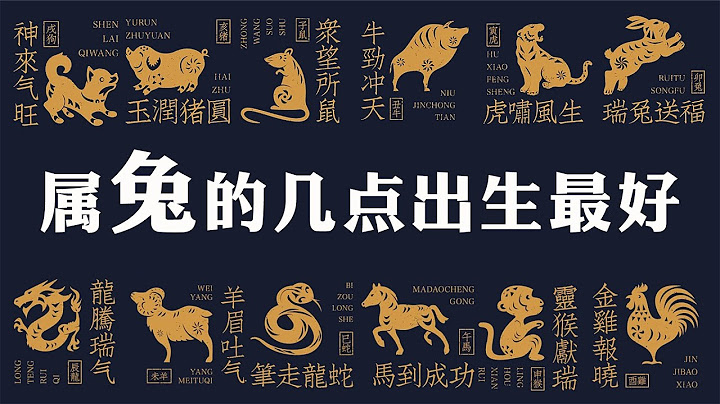 属兔的几点出生最好？属兔人出生时辰的命运？【佛语】 - 天天要闻