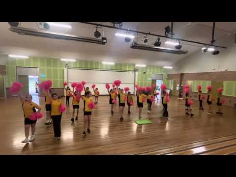 Hilltop Road Public School Cheerdancers