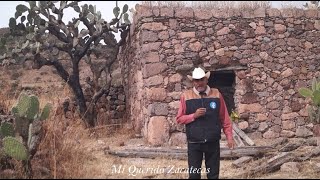 "PALOS ALTOS MONTE ESCOBEDO ZACATECAS"