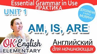 Практика к Unit 1 - Глагол BE в Present: AM, IS, ARE | Уроки английского языка с нуля