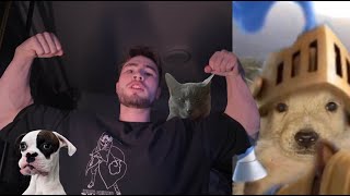 ITS OVER | Road to 10K #day84