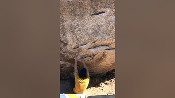 Sloper Safari - Joshua Tree