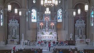 St. Bernard Mass Stream