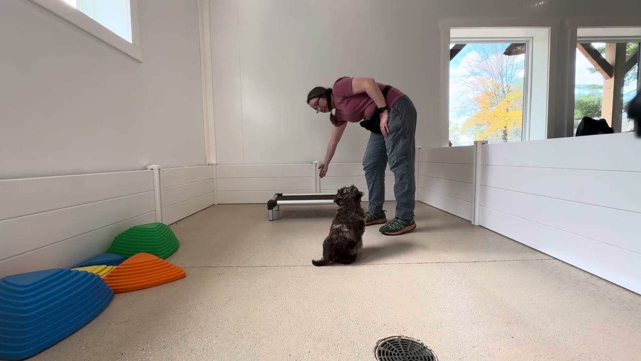 Oliver Training Session 10/29