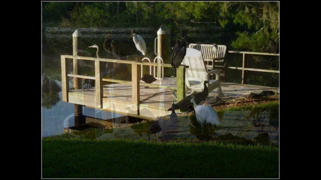 Phlegm's Birthday Celebration at ksbee's