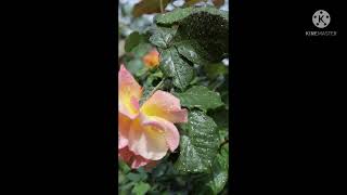 Fajar ki alarm screenshot 4