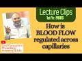 How is BLOOD FLOW regulated across capillaries - 1st year MBBS