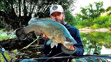 Murray cod fishing epic kayak session