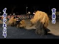 宮良のイタシキバラ2019