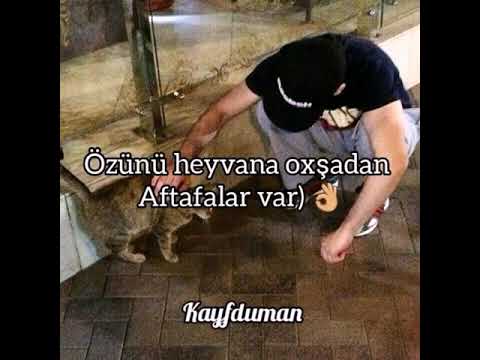 *MƏNALI* VƏ *PEÇAT* SÖZLƏR. SOXUCU SÖZLƏR#1 (YIĞMA VİDEOLAR)