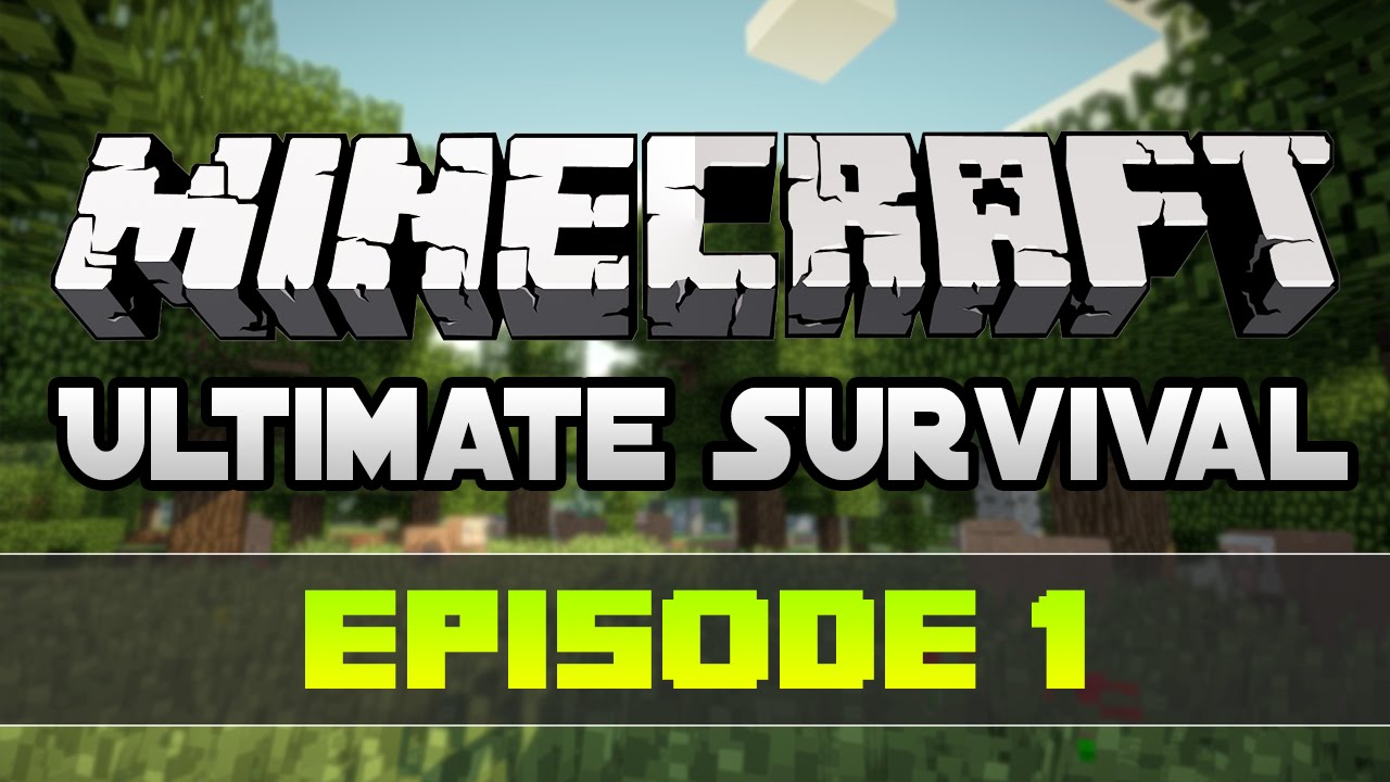 Minecraft survival day 1 LETS GO! - YouTube