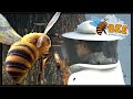 Humans Destroy Our Bee Hive In Bee Simulator