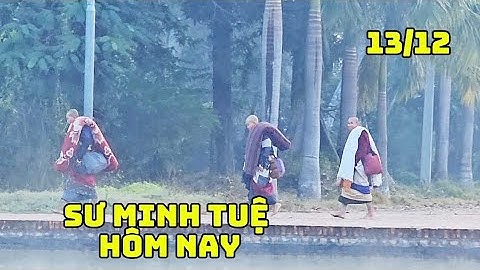 Sư Minh Tuệ Hôm Nay 13/12