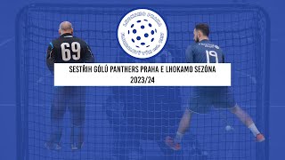 Sestřih gólů Panthers Praha E Lhokamo sezóna 2023/24