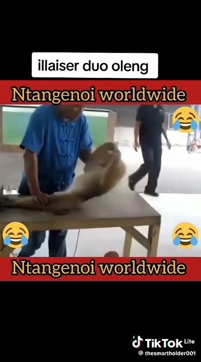BEST OF NTANGENOI WORLDWIDE