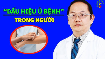 Cơ thể ngứa 6 vị trí này Cảnh Báo bệnh đang tích tụ | Sống Khỏe