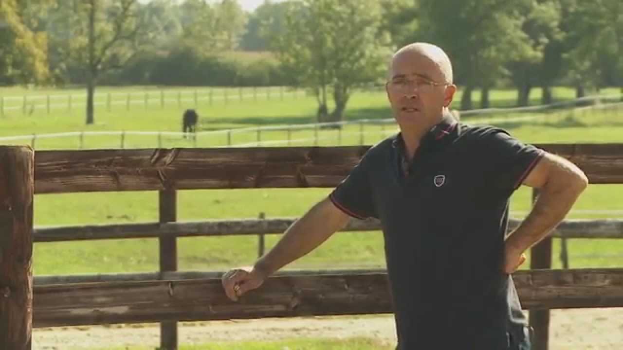 Le Haras des Faunes vu du ciel : Alain Chopard, l'éleveur batisseur