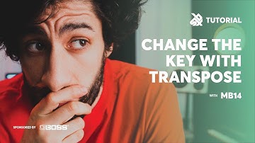 The Transpose Effect | SBX Loop Station Tutorials | MB14