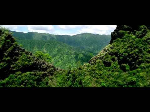 Pirates des Carabes : La Fontaine de Jouvence - Fe...