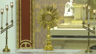 Holy Hour for the Victims and Families at Annunciation Church