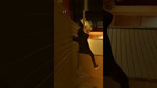 #watchdogs #gaming #gamingvideo #watchdogs2 #gta