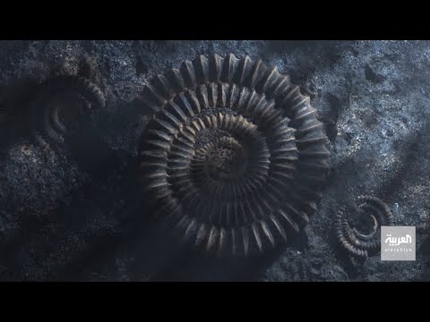 تقويم ما رمزيات الشمس والقمر والنجوم عند العرب