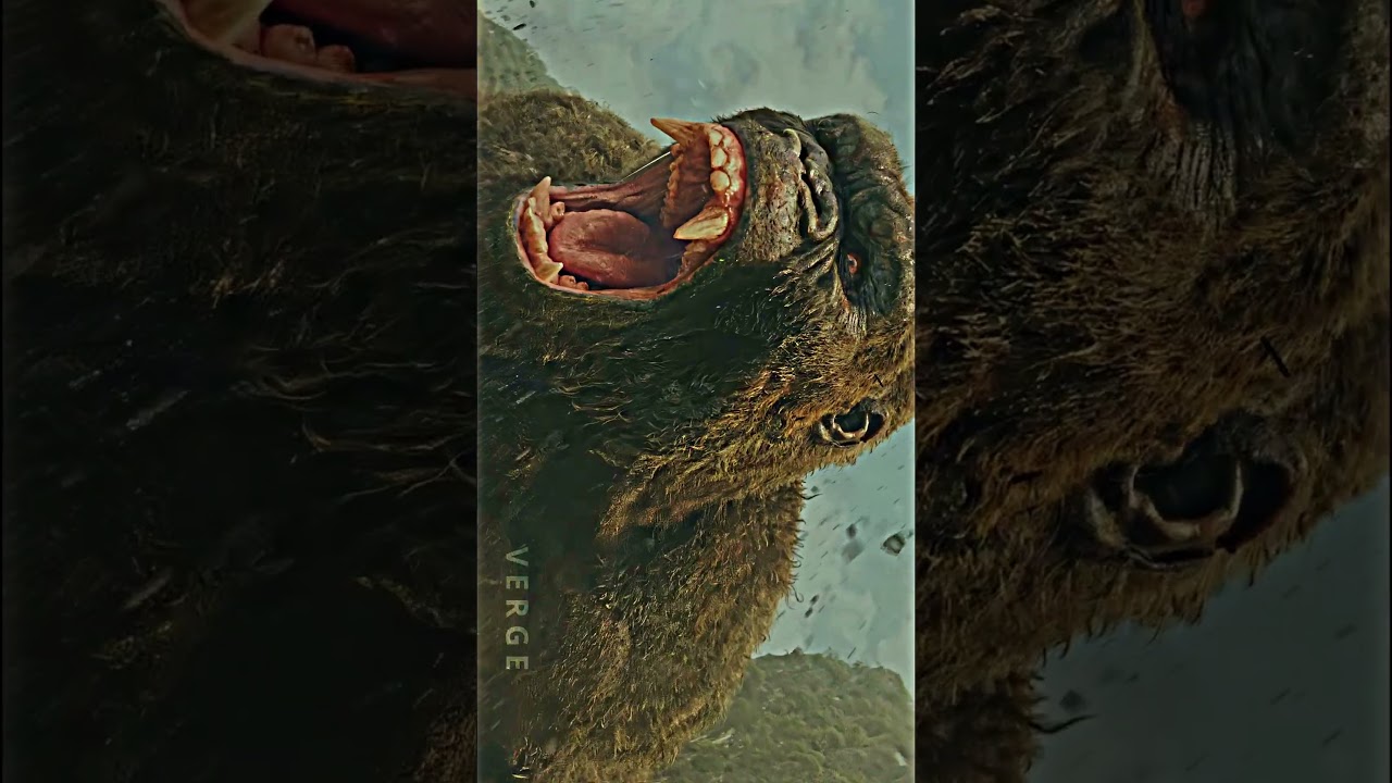 The hardest Kong edit (4K) #kong #godzillaxkongthenewempire #shortsfeed #shorts