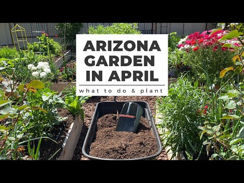 Vídeo: Regional Garden Chores: O que fazer no jardim em abril