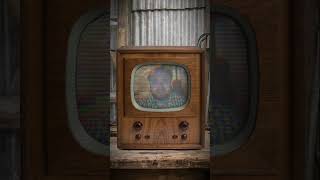 Fallout Evreni Türkiye'ye Gelirse Ne Olur #animasyon #tdk