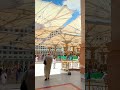 اللہ ہمیں دکھائیں اللہ