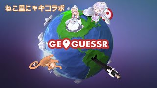 【ジオゲッサー】いまねこはどこにいるでしょう？【ねこ里にゃキ】