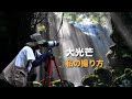 【 光芒が出る条件 】私のレンズ・構図・設定などをお話しします。