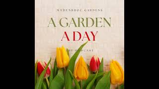 Download Lagu George Brown Darwin Botanic Gardens, Australia Download Lagu George Brown Darwin Botanic Gardens, Australia