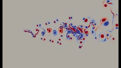 Two undulatory swimmers: lattice Boltzmann simulation