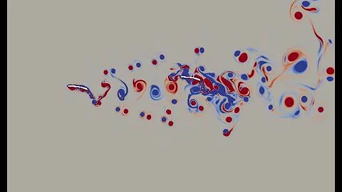 Two undulatory swimmers: lattice Boltzmann simulation
