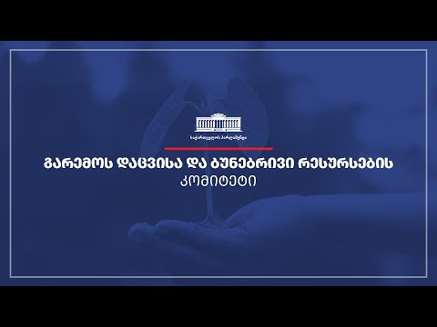 გარემოს დაცვის და ბუნებრივი რესურსების კომიტეტის სხდომა - 19.09.2022