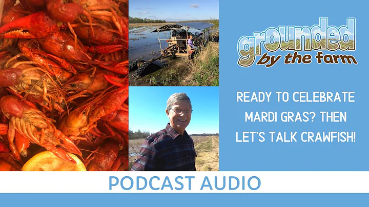 Ready to celebrate mardi gras? Then let's talk cra...