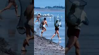 The Snatching the Tide Head Fish is a district-level intangible cultural heritage project