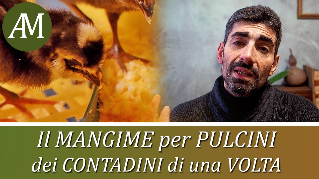 contadini messicani di una volta