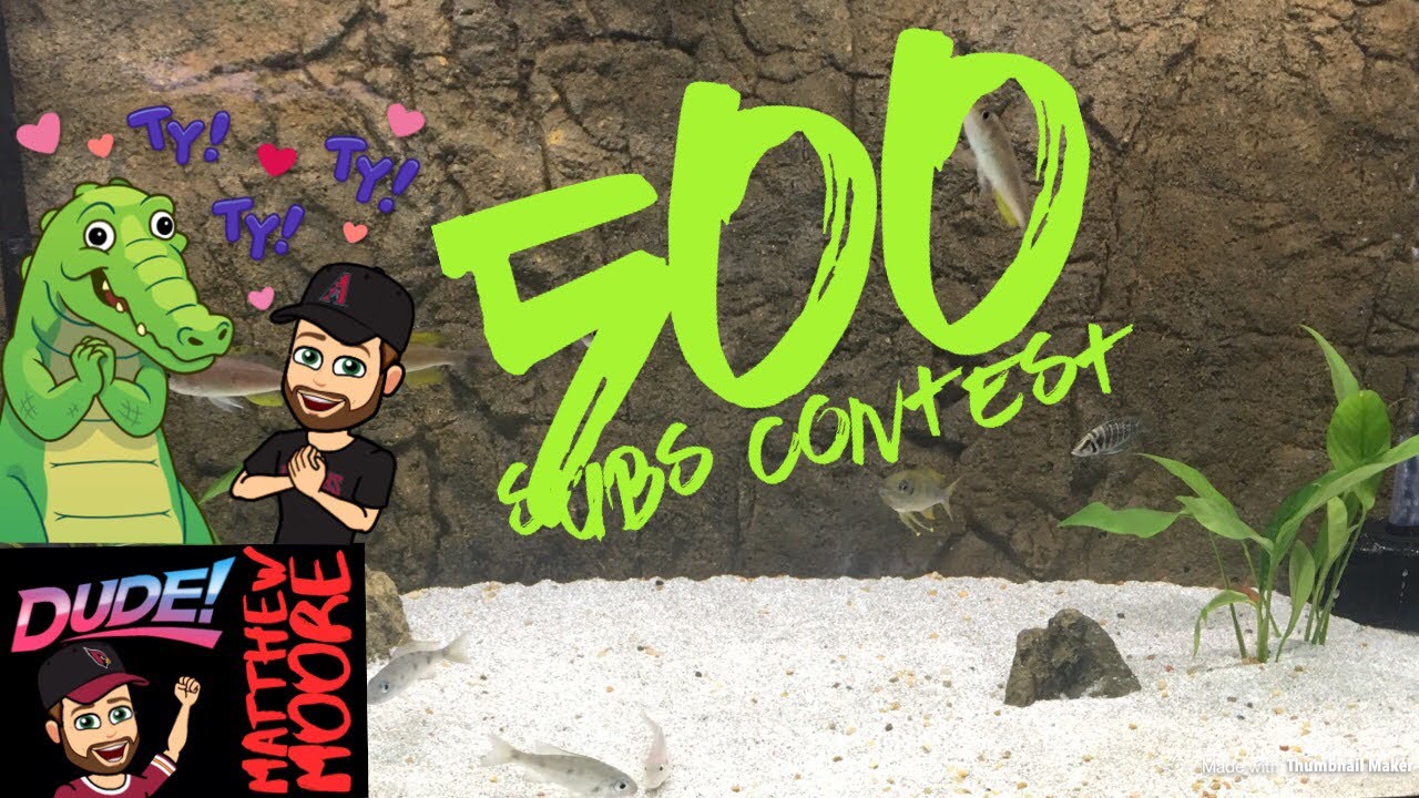 video phone beyonce mp3 My 500 Subs Contest!
