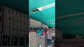 Httpsmyoutubecomshortsy0m8qeqgiti