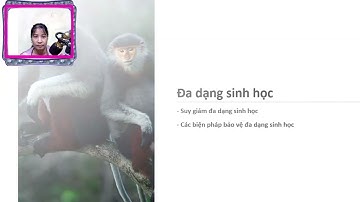 cùng học địa lí với nguyễn hiền 4