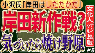 【したたか岸田の新しい総理の定義】事実小沢氏も提唱する。政敵が次々と倒れる、解消する岸田総理の現状は？⑤　◆文化人デジタル瓦版◆
