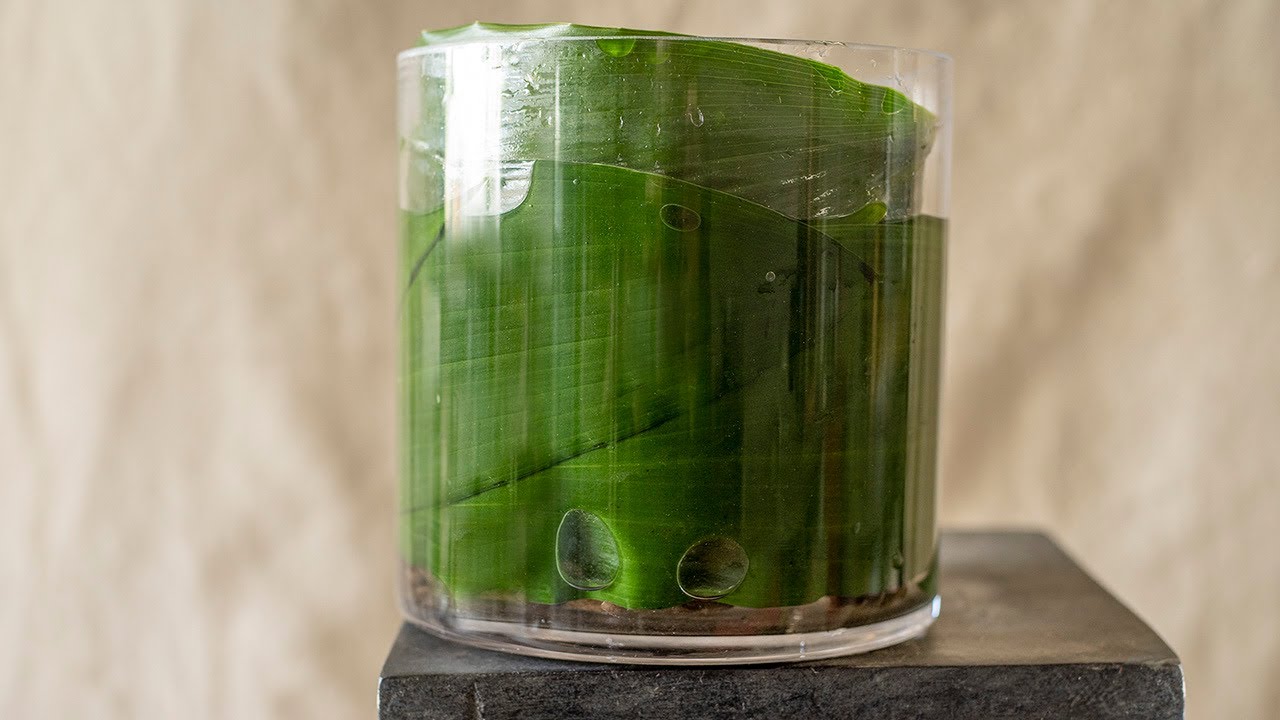 Removing Air Bubbles YouTube