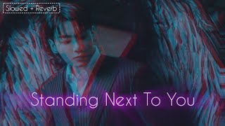 정국 Jung Kook - Standing Next to You (Slowed & Reverb)