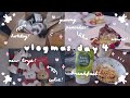 Are Hotdog n Muffin Getting Along? A Day With The Critters! | VLOGMAS04 | Tiffany Weng