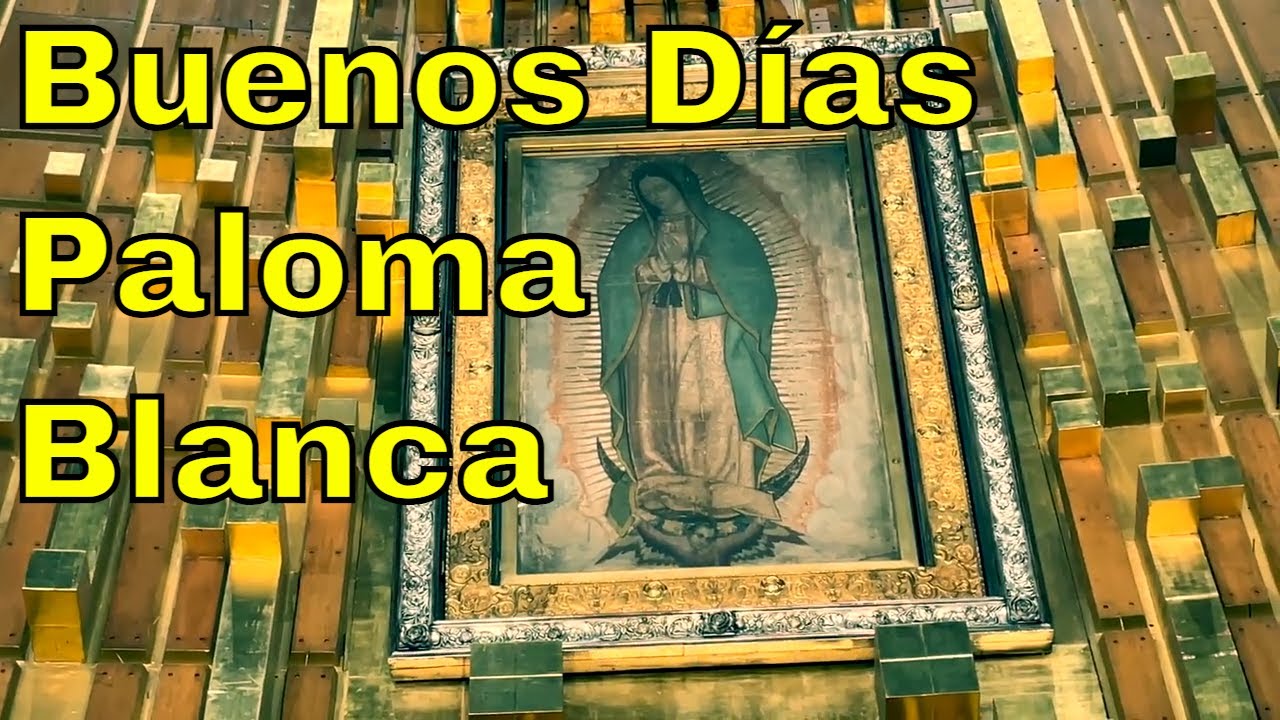 Buenos Días Paloma Blanca Buenos dias Paloma Blanca Flor y Canto