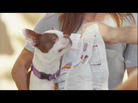 Video: Petcos Hundetage des Sommertreffer-Home Runs in San Diego