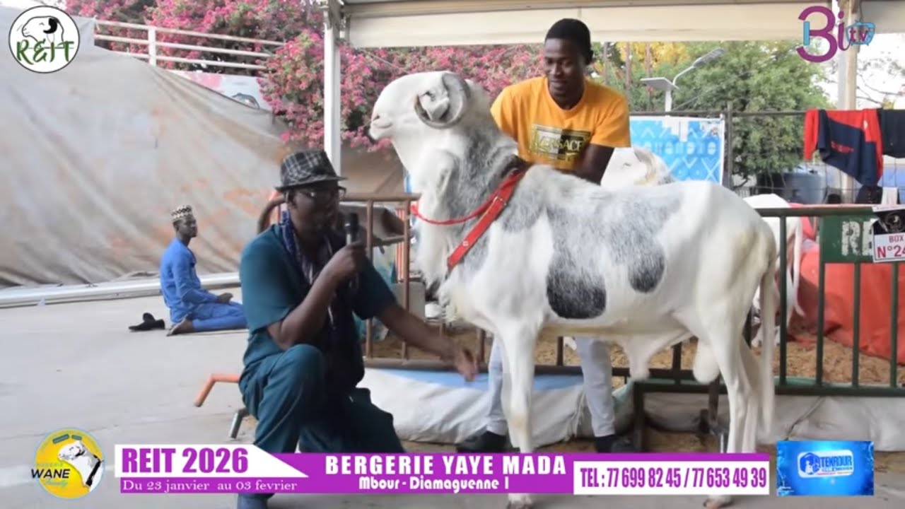 🇸🇳REIT 2026🇸🇳BERGERIE YAYE MADA