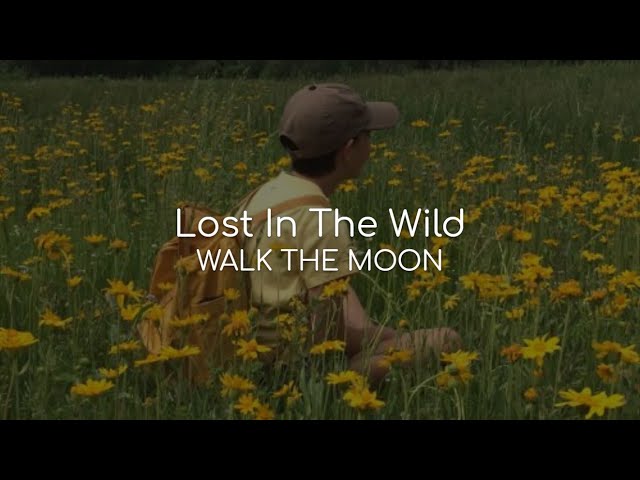 Lost In The Wild - WALK THE MOON (lyrics) class=